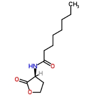 CAS号：147852-84-4，C8-HSL