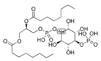 PI(4)P, DI C8，CAS号：214069-07-5，4-单磷酸磷脂酰肌醇