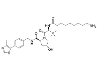 CAS号：2341796-79-8，(S,R,S)-AHPC-C8-NH2