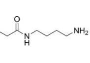 C2-Amide-C4-NH2  