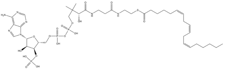 6Z,9Z,12Z-十八碳三烯酰 辅酶 A (铵盐) 