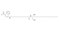 C12-NBD Sphinganine  