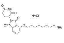 Thalidomide-O-C8-NH2 hydrochloride,CAS号：2636798-38-2