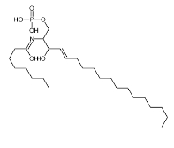C8神经酰胺-1-磷酸，CAS号：887353-95-9