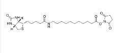 Biotin-C10-NHS Ester，CAS号：887628-40-2