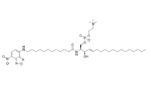 C12 NBD-SPHINGOMYELIN，CAS号：254117-01-6