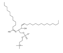 C12 Sphingomyelin，CAS号：474923-21-2