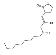 3-oxo-C12-AHL，CAS号：152833-54-0