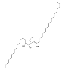 N-硬脂酰植物鞘氨醇；C18 Phytoceramide (t18:0/18:0)；CAS号：34354-88-6