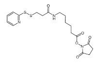 SPDP-C6-NHS ester，CAS号：158913-22-5