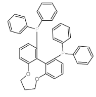 (R)-C3-TUNAPHOS，CAS号：301847-89-2