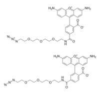 叠氮基-PEG4-羧基罗丹明 110 结合物  