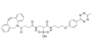 Methyltetrazine-DBCO  