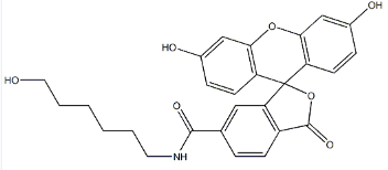 6-FAM-C6-OH  ，CAS：467456-19-5