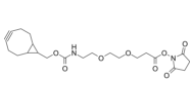 endo-BCN-PEG2-C2-NHS ester  