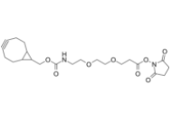 endo-BCN-PEG2-C2-NHS ester  