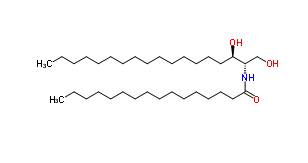 C16 dihydro Ceramide (d18:0/16:0 ）;  CAS号：5966-29-0