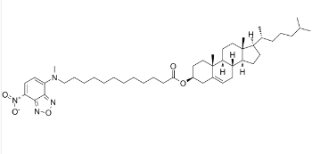 3-NBD-C12 Cholesterol  ，CAS ：186833-02-3