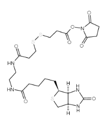 生物素-双酰胺-SS-NHS酯；Biotin-bisamido-SS-NHS ester；142439-92-7的简介