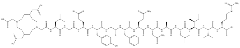十三肽DOTA-LGEYGFQNALIVR  