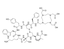 DOTA-Conjugated肽  