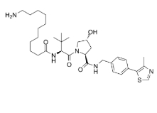 cas:2341796-74-3，(S,R,S)-AHPC-C10-NH2 (VH032-C10-NH2)，烷基链化合物或碳链化合物