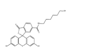 cas:467456-19-5，6-(N-6-羟基己基)酰胺荧光素， 6-FAM-C6-OH