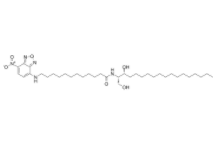 	C12-NBD Sphinganine  