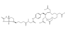 DOTA-生物素-肌氨酸	  