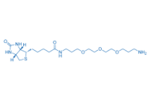 	Biotin-PEG3-C3-NH2  