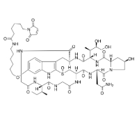 1578249-76-9，Mal-C6-α-Amanitin
