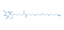 Biotin-PEG3-C3-NH2  