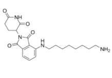 Thalidomide-NH-C8-NH2 