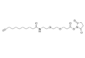 1006592-59-1；Propargyl-C8-amido-PEG2-NHS ester