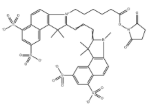 磺酸基CY3.5活性酯	  