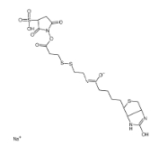325143-98-4；Sulfo-NHS-SS-Biotin sodium Chemical Structure