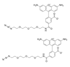叠氮基-PEG4-羧基罗丹明 110 结合物	  