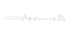 DSPE-PEG4-DBCO 
