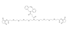 	DBCO-N-bis(PEG4-NHS ester)  