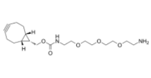 	endo-BCN-PEG3-NH2  