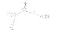 磺酸花菁染料 Sulfo Cy3.5 hydrazide	；1241506-04-6