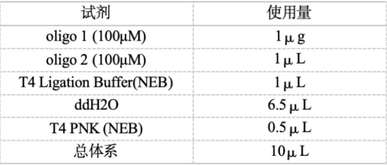 质粒构建的原理及方法