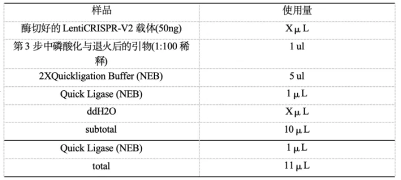 质粒构建的原理及方法