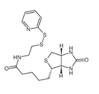 N-[2-(2-Pyridyldithio)ethyl]biotinamide 