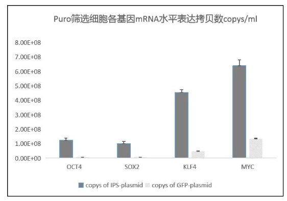 利用慢病毒快速构建IPS稳转株