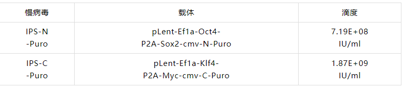利用慢病毒快速构建IPS稳转株