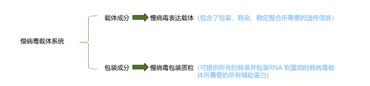 慢病毒载体构建及包装流程