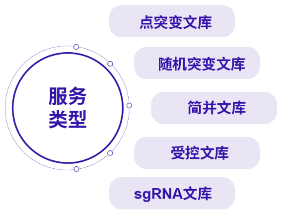 基因突变文库服务类型，齐岳生物