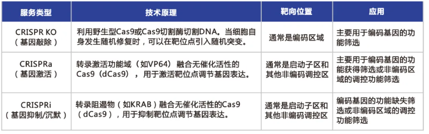 CRlSPR/Cas9 gRNA文库筛选流程