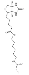 93285-75-7，Biotin-C6-iodoacetamide，N-生物素-N'-(碘乙酰基)-1,6-己二胺